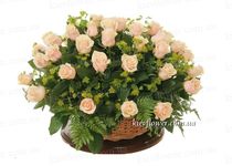 Basket of 51 cream-colored roses